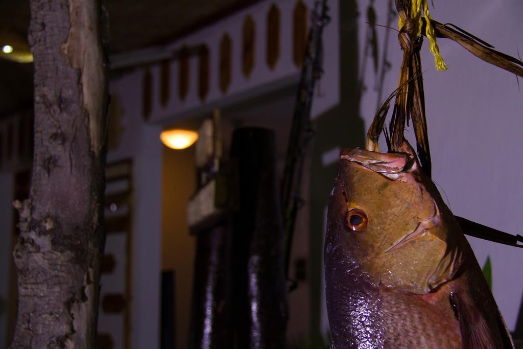 Alvi Star Inn Thulhaadhoo 외부 사진