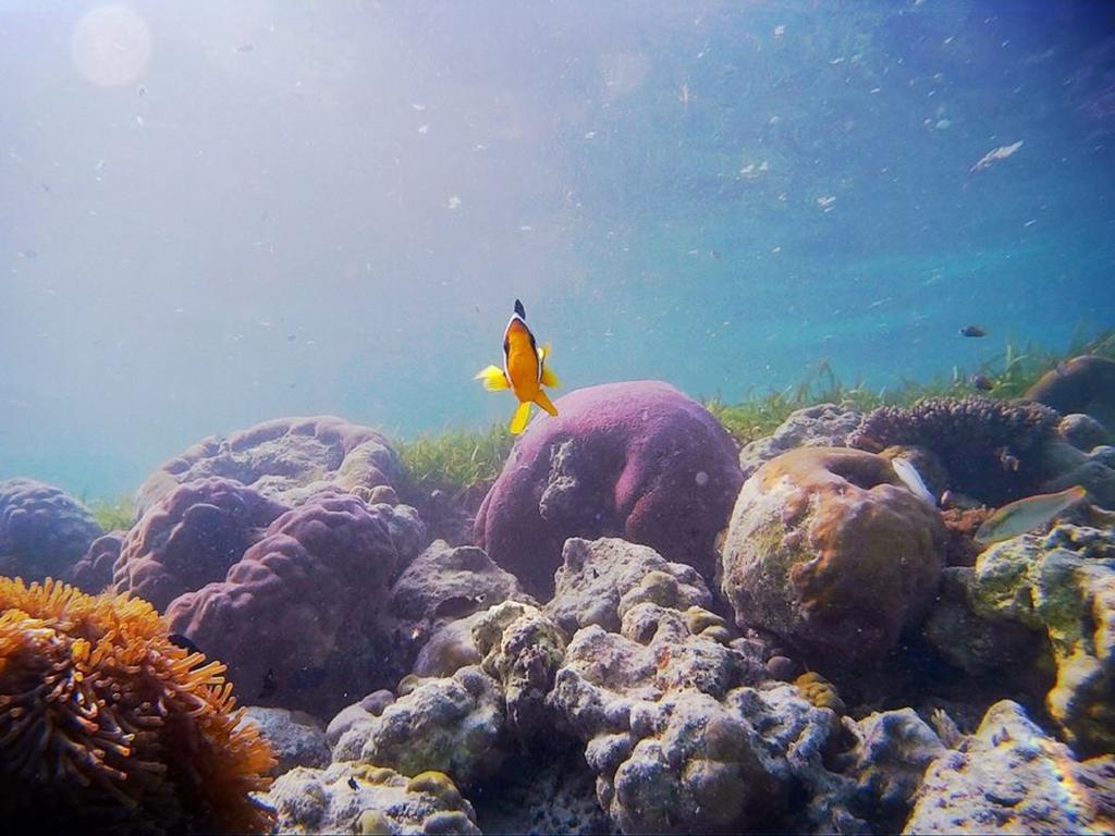 Alvi Star Inn Thulhaadhoo 외부 사진