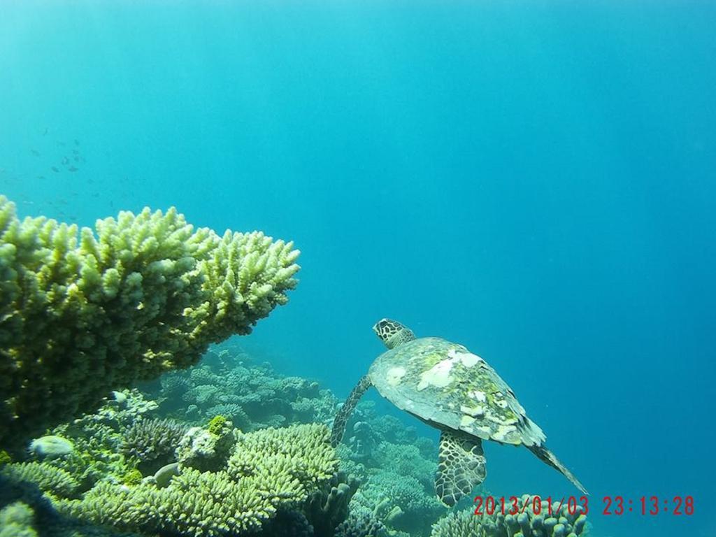 Alvi Star Inn Thulhaadhoo 외부 사진