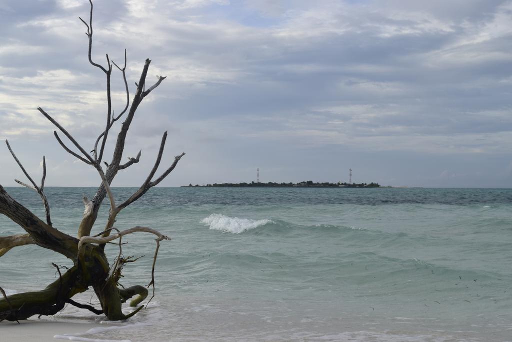 Alvi Star Inn Thulhaadhoo 외부 사진